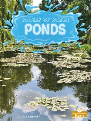 Estanques - Ponds