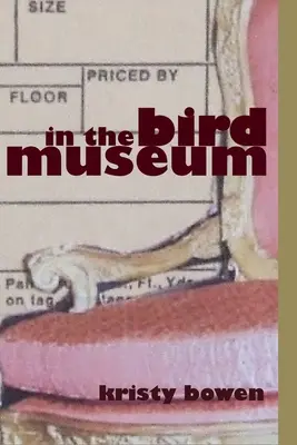 en el museo de aves - in the bird museum