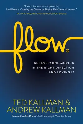Fluir: Conseguir que todos se muevan en la dirección correcta... y que les encante - Flow: Get Everyone Moving in the Right Direction...and Loving It