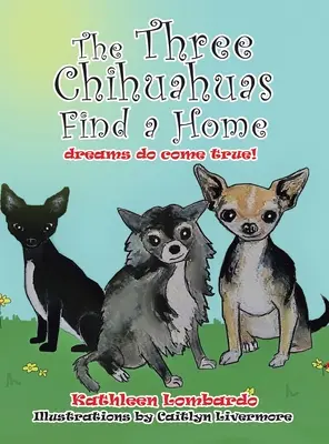 Los tres chihuahuas encuentran un hogar - The Three Chihuahuas Find a Home