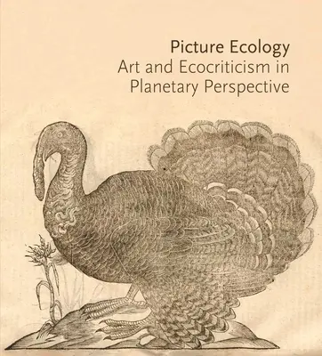Ecología de la imagen: Arte y ecocrítica en perspectiva planetaria - Picture Ecology: Art and Ecocriticism in Planetary Perspective