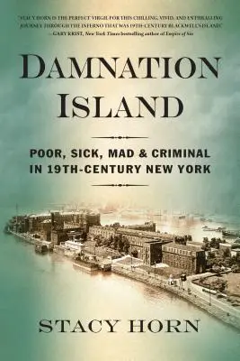 La isla de la condenación: Pobres, enfermos, locos y criminales en el Nueva York del siglo XIX - Damnation Island: Poor, Sick, Mad, and Criminal in 19th-Century New York