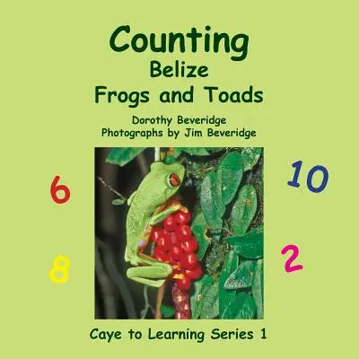 Contar ranas y sapos de Belice - Counting Belize Frogs and Toads