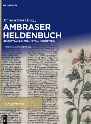 Nibelungenklage - , Nibelungenklage'