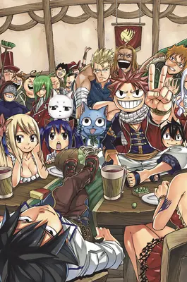 Fairy Tail Manga Box Set 5