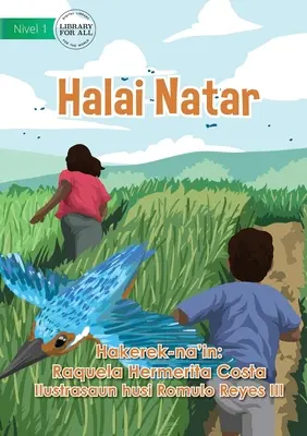 Cultivo del arroz - Halai Natar - Rice Cultivation - Halai Natar