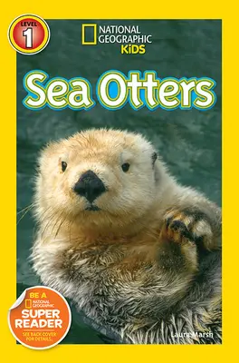 Nutrias marinas - Sea Otters