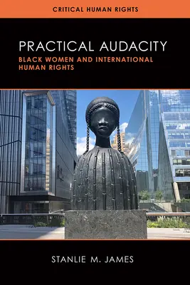 Audacia práctica: Las mujeres negras y los derechos humanos internacionales - Practical Audacity: Black Women and International Human Rights
