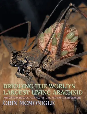 Cría del arácnido vivo más grande del mundo: Biología, historia natural y cría en cautividad de los amblipígidos (arañas látigo) - Breeding the World's Largest Living Arachnid: Amblypygid (Whipspider) Biology, Natural History, and Captive Husbandry