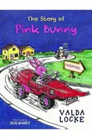 La historia de Pink Bunny - The Story of Pink Bunny