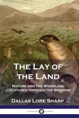 La disposición del terreno: La naturaleza y las criaturas del bosque a través de las estaciones - The Lay of the Land: Nature and the Woodland Creatures through the Seasons