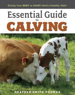 Guía esencial del parto: Cómo dar un comienzo saludable a su rebaño de vacuno o lechero - Essential Guide to Calving: Giving Your Beef or Dairy Herd a Healthy Start