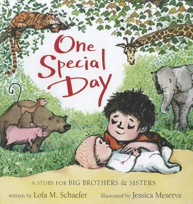 Un día especial: Un cuento para hermanos mayores - One Special Day: A Story for Big Brothers and Sisters