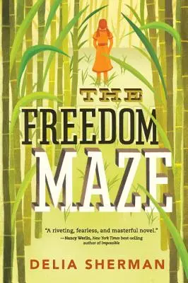 El laberinto de la libertad - The Freedom Maze