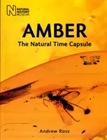 Ámbar: la cápsula del tiempo natural - Amber - The Natural Time Capsule