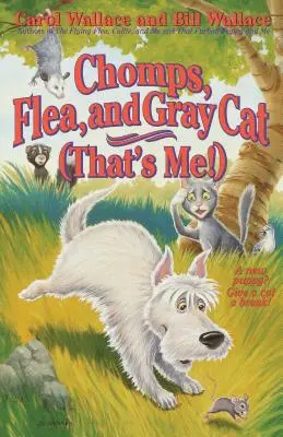 Chomps, la pulga y el gato gris (¡ese soy yo!) - Chomps, Flea, and Gray Cat (That's Me!)