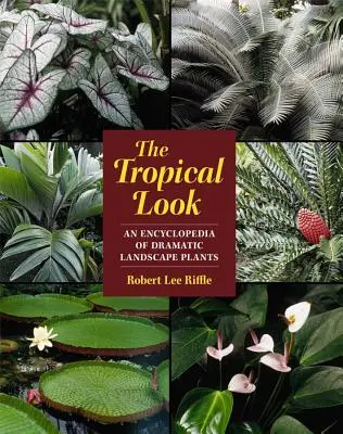 La mirada tropical: Enciclopedia de plantas para paisajes espectaculares - The Tropical Look: An Encyclopedia of Dramatic Landscape Plants
