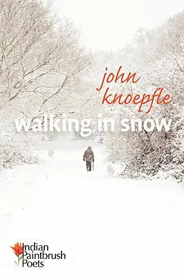 Caminando por la nieve - Walking in Snow