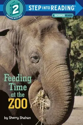 La hora de comer en el zoo - Feeding Time at the Zoo