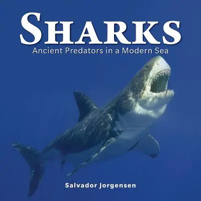 Tiburones: Antiguos depredadores en un mar moderno - Sharks: Ancient Predators in a Modern Sea