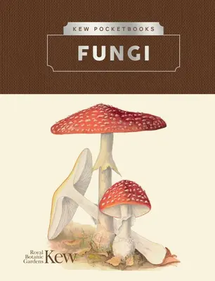 Libros de bolsillo Kew: Fungi - Kew Pocketbooks: Fungi