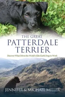 El gran terrier de Patterdale - The Great Patterdale Terrier