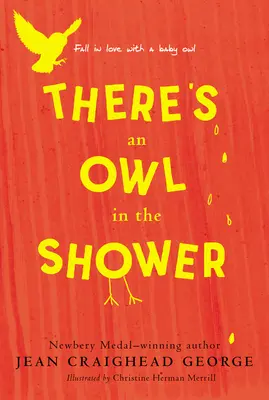 Hay un búho en la ducha - There's an Owl in the Shower