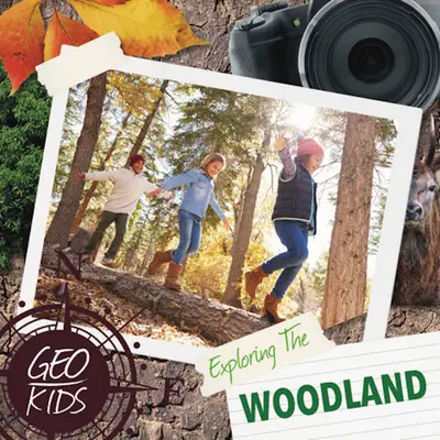 Explorar el bosque - Exploring the Woodland