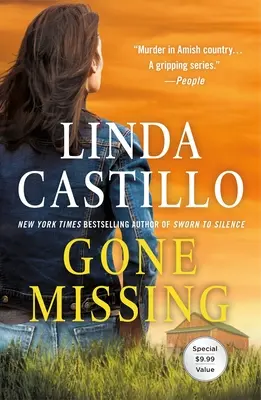 Desaparecida: Una novela de Kate Burkholder - Gone Missing: A Kate Burkholder Novel