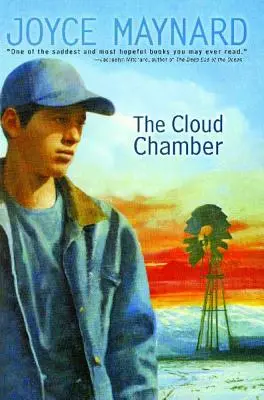 La cámara de las nubes - The Cloud Chamber