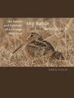 La danza celeste de la becada: Hábitos y costumbres de un extraño pajarillo - Sky Dance of the Woodcock: The Habits and Habitats of a Strange Little Bird