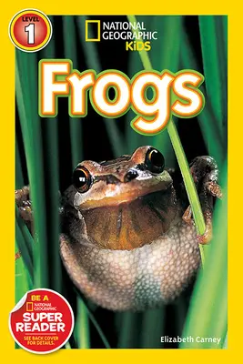 Ranas - Frogs