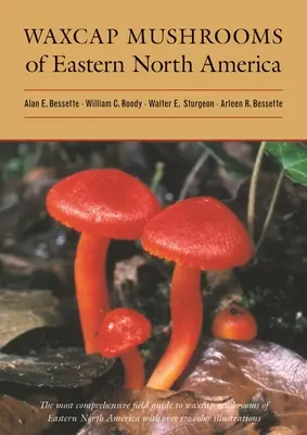 Las setas de cera del este de Norteamérica - Waxcap Mushrooms of Eastern North America