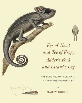 El ojo del tritón y la punta de la rana, la horquilla de la víbora y la pata del lagarto: tradición y mitología de anfibios y reptiles - Eye of Newt and Toe of Frog, Adder's Fork and Lizard's Leg: The Lore and Mythology of Amphibians and Reptiles