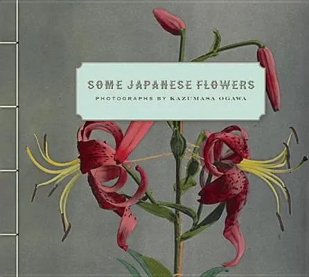 Algunas flores japonesas - Some Japanese Flowers