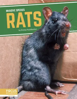 Ratas - Rats