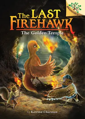 El laberinto secreto: Un libro de ramas (El último Firehawk #10) (Library Edition), 10 - The Secret Maze: A Branches Book (the Last Firehawk #10) (Library Edition), 10