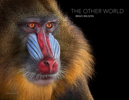 Brad Wilson: El otro mundo: Retratos de animales - Brad Wilson: The Other World: Animal Portraits