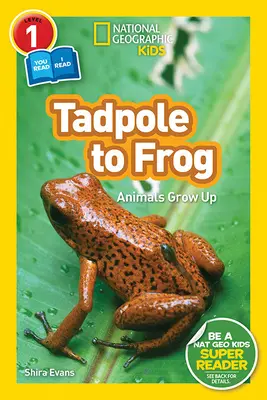 National Geographic Readers: De renacuajo a rana (L1/Co-lector) - National Geographic Readers: Tadpole to Frog (L1/Co-Reader)