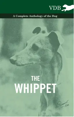 El Whippet - Antología completa del perro - The Whippet - A Complete Anthology of the Dog