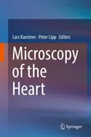 Microscopía del corazón - Microscopy of the Heart