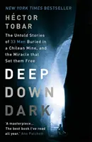 En lo más profundo de la oscuridad: Las historias no contadas de 33 hombres enterrados en una mina chilena y el milagro que los liberó - Deep Down Dark: The Untold Stories of 33 Men Buried in a Chilean Mine, and the Miracle that Set them Free