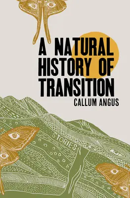 Historia natural de la transición - A Natural History of Transition