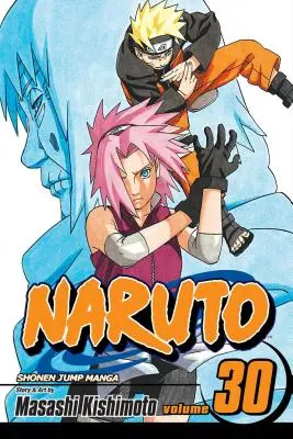 Naruto, Vol. 30, 30