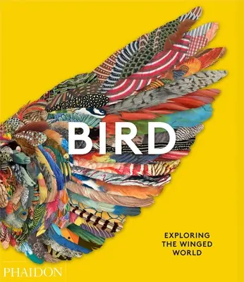 Aves: Explorando el mundo alado - Bird: Exploring the Winged World