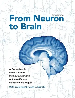 De la neurona al cerebro - From Neuron to Brain