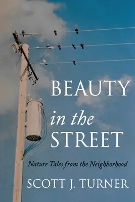 Belleza en la calle: Cuentos del barrio sobre la naturaleza - Beauty in the Street: Nature Tales from the Neighborhood