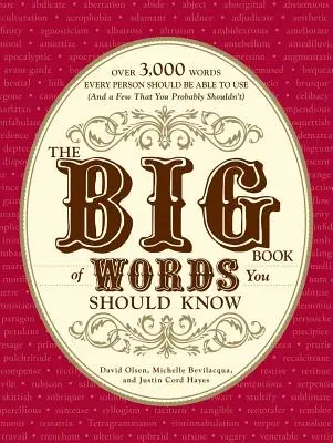 El gran libro de las palabras que deberías conocer: Más de 3.000 palabras que toda persona debería saber utilizar (y algunas que probablemente no debería) - The Big Book of Words You Should Know: Over 3,000 Words Every Person Should Be Able to Use (and a Few That You Probably Shouldn't)