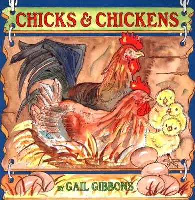 Pollitos y gallinas - Chicks & Chickens