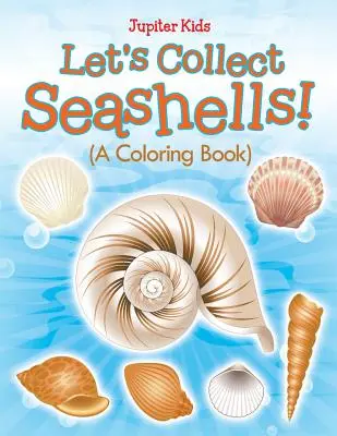 Coleccionemos conchas marinas (Libro para colorear) - Let's Collect Seashells! (A Coloring Book)